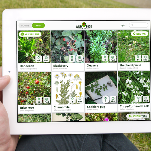 Designs | Wild Food Foraging App UI Design | App design contest