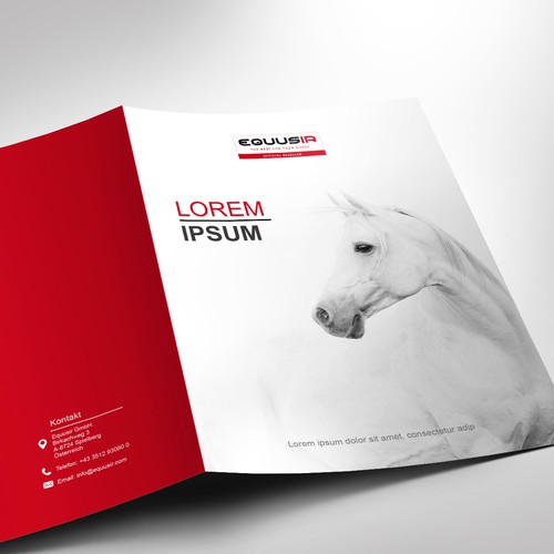 Brochure contest entry by Vivan M