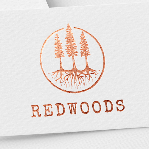 Design powerful imagery of Redwood tree roots that speak to Christian women small groups Design by Dazuke™