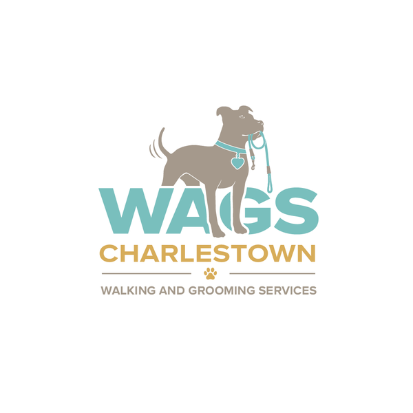Pet Grooming And Walking Service