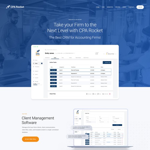 Website Design for our Accounting CRM Software Design von keilaMaria
