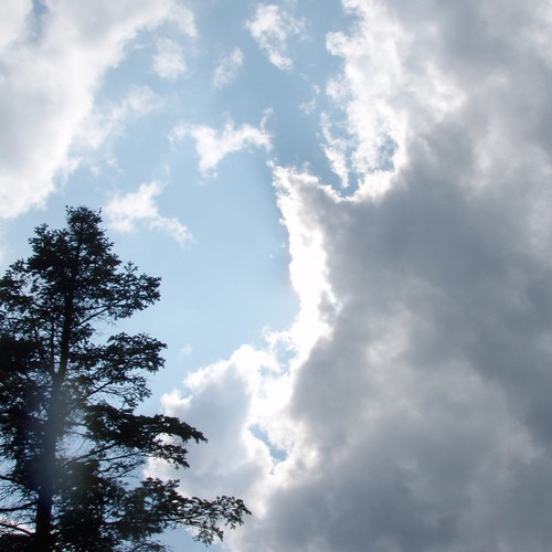 Design Rick Warren's New Book Cover Design by kdosh11