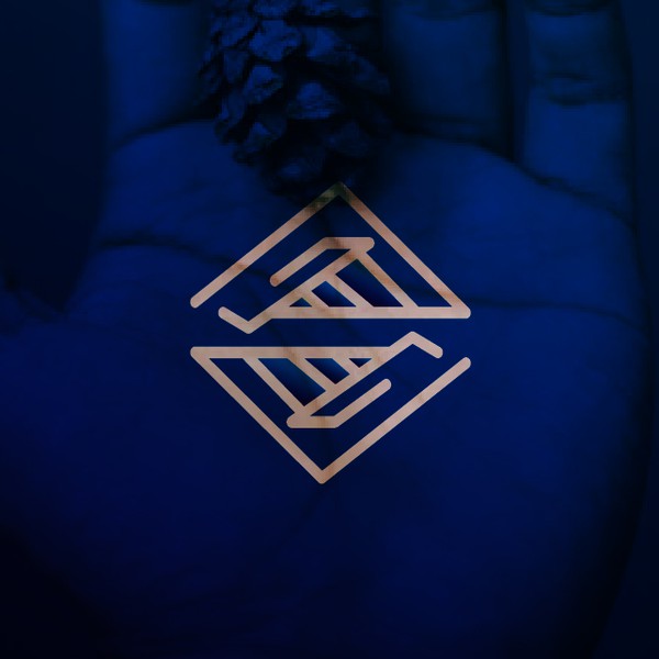 Strategic Investment logo