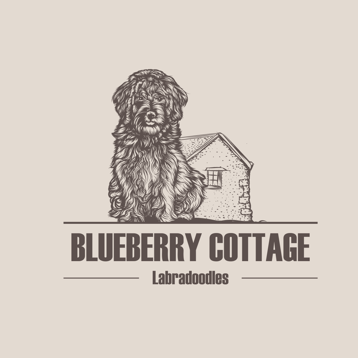 Cottage logo with the title 'pet logo concept'