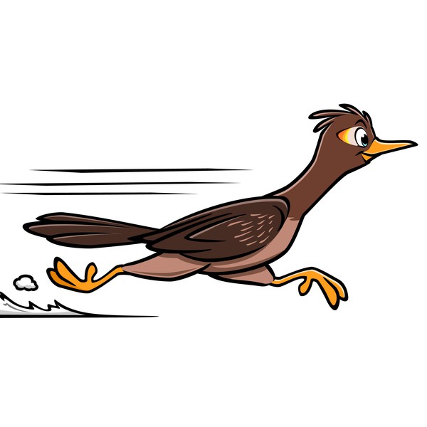 Cartoon Roadrunner
