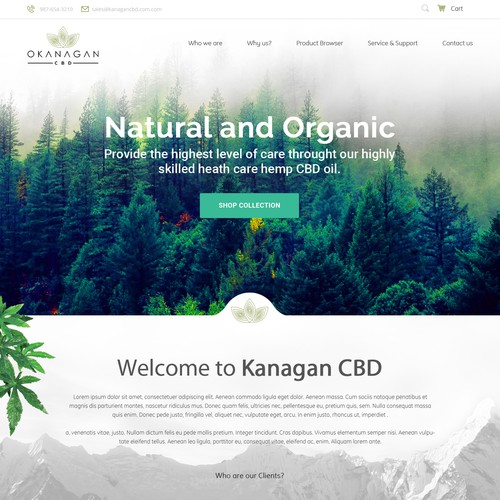 WordPress theme design contest entry by Wonder*