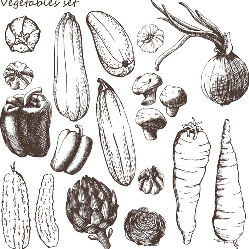 veggie-illustration [Converted].jpg