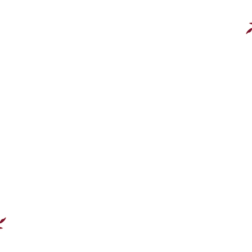 Create floral cover art for a beautiful paper floral pop-up greeting card Design by marbia