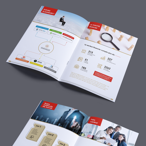 Brochure contest entry by pritidesignmark@gmai