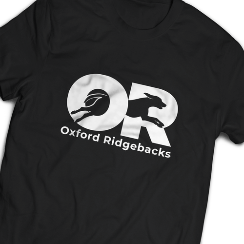  contest entry by Night Hawk