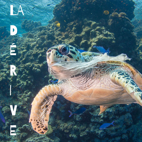 Logo design contest entry by AliyaGilmanova