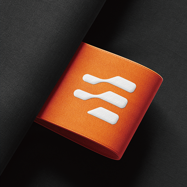 easymesh® logo concept