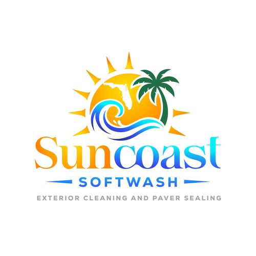 A logo for a softwash company that is appealing and inviting Design by Parbati