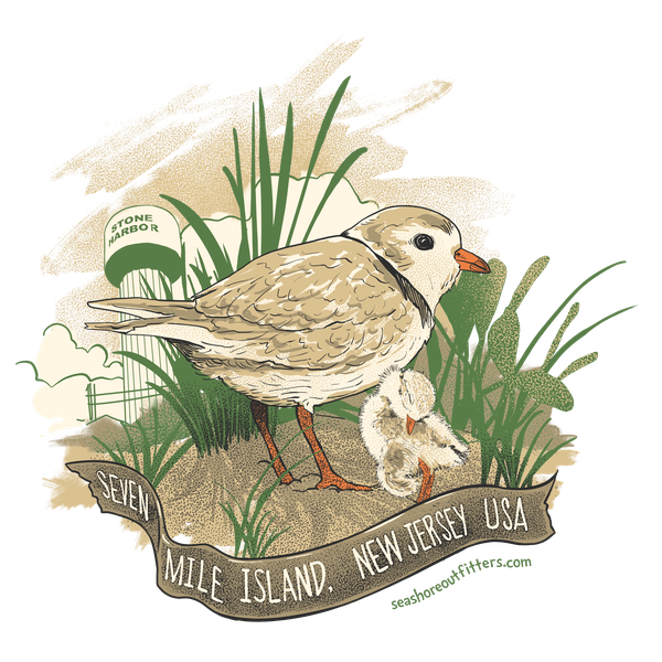 piping plovers for seashore outfitters