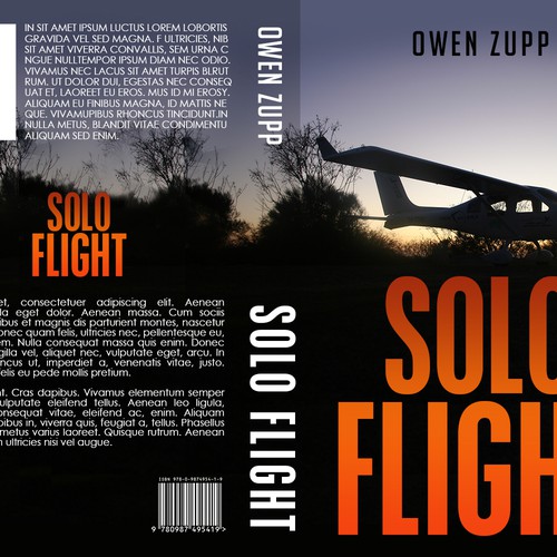 Design di Solo Flight. Design an awesome book cover that captures the adventure of flight. di PRINCY103