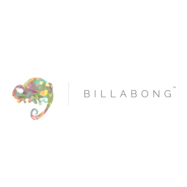 Creative Billabong Logo Design