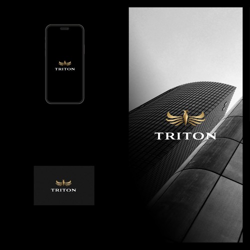 Logo & brand guide contest entry by Ascent Agency