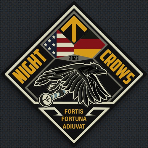 NIGHT CROWS - Military Special Operations Unit Logo design contest - GER/US Design by Sasha Løft