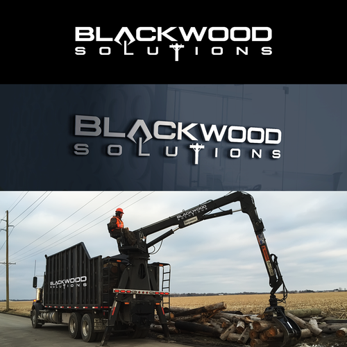 Create a logo and web site for Blackwood Solutions, a wood recycling company Logo & brand