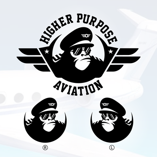 Higher Purpose Aviation Design by Evanscrea™