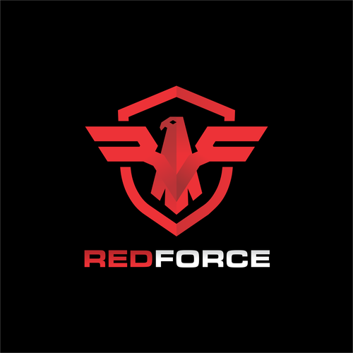 Designing a Logo for an Information Security Company Design von RayyaNamira