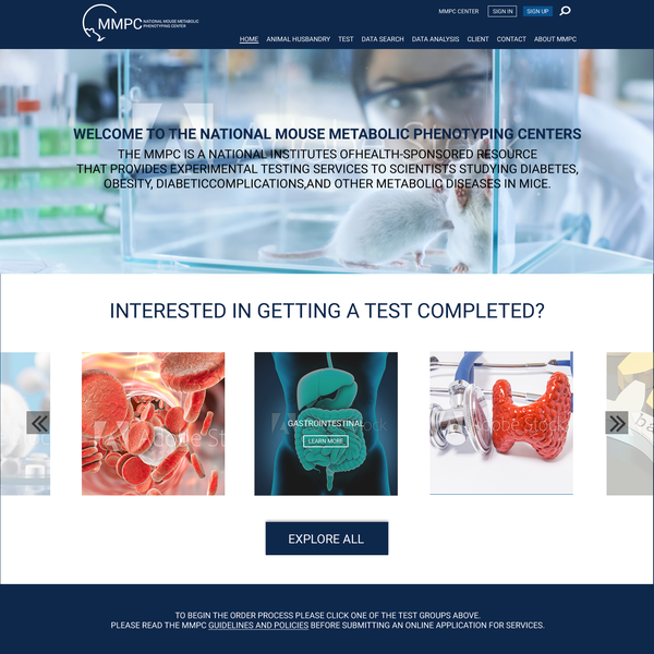 Design by baytheway titled "MMPC WEB DESIGN"