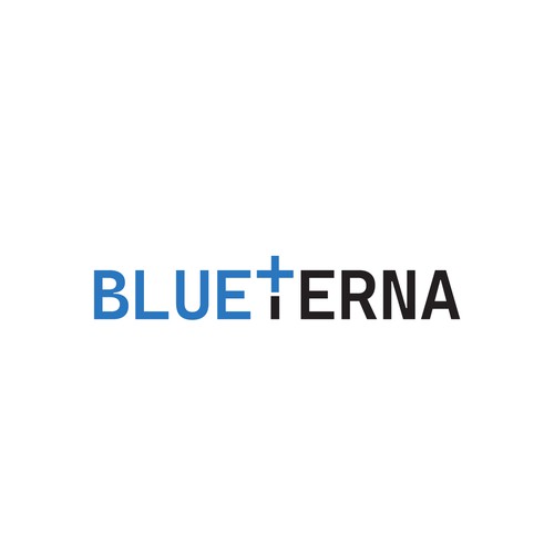 Blueterna Branding contest Design by Imam H.