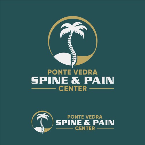 Spine and Pain Medical Practice in Florida Design by jemma1949