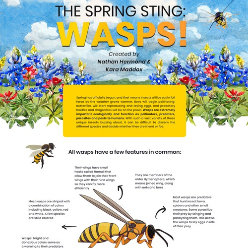 BUZZZZZZ - It's a Wasp Guide for Springtime in Texas! Design von Krisssmy