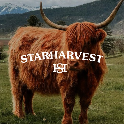 We need a bold logo for our beef & pork Processing Plant Design by Ori.dsgn