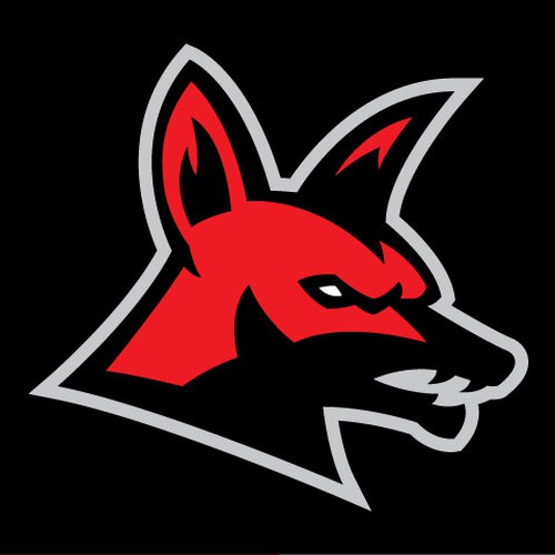 Professional baseball team seeks dynamic new logo | Logo design contest