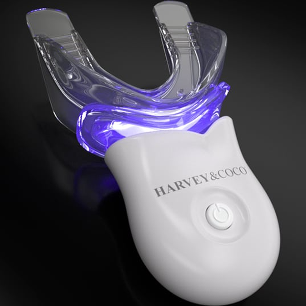 Harvey & Coco Teeth Whitening