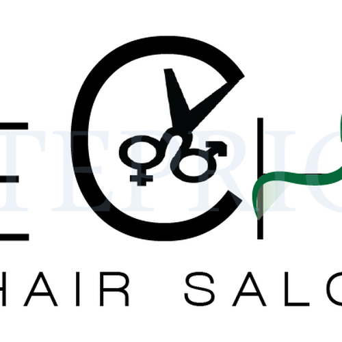 Create a new logo for Visible Changes Hair Salons Ontwerp door Ateprice