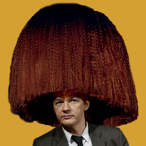 Design the next great hair style for Julian Assange (Wikileaks) Design by Isabels Designs