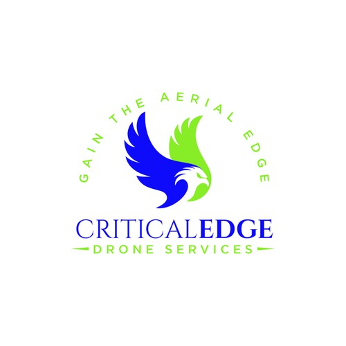We need a logo design for new Drone inspection and survey company Design by hasnagraphics