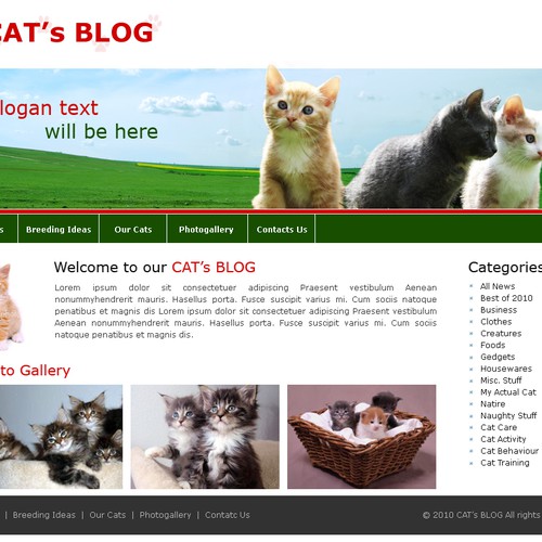 1-3 Page Website Template Design von KaizenKarma