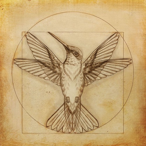 Design di Leonardo da Vinci - Hummingbird Drawing di wcosta design