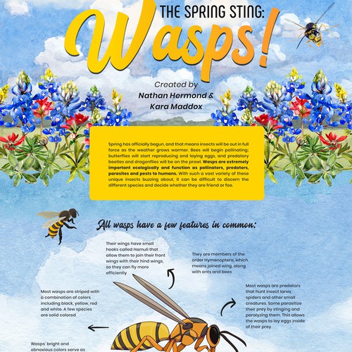 BUZZZZZZ - It's a Wasp Guide for Springtime in Texas! Design von Krisssmy