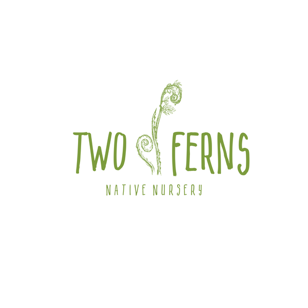 Design by AnaLogo titled "two ferns "