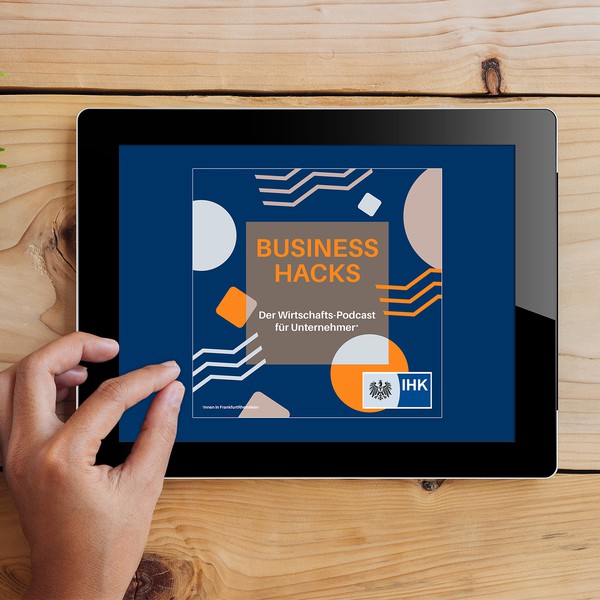 Internal audit humor book cover (yes the writing is funny, take a look ...