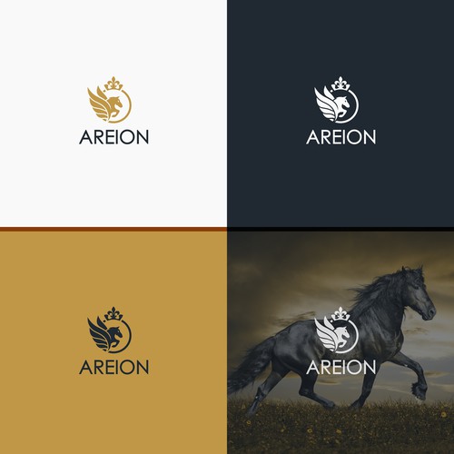  contest entry by Zaladgan