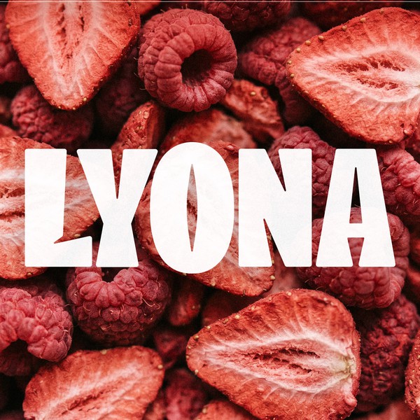 Lyona | Logo and Wordmark