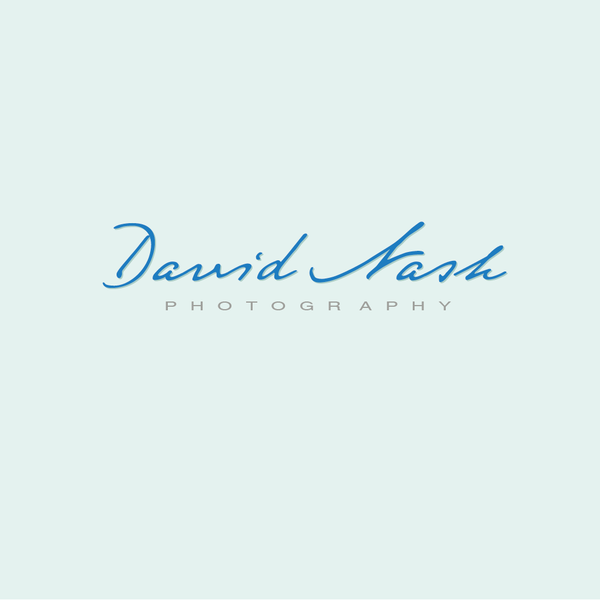 Diseño de Losign titulado "New logo wanted for David Nash Photography"