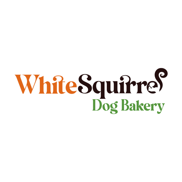 White Squirrel Logo