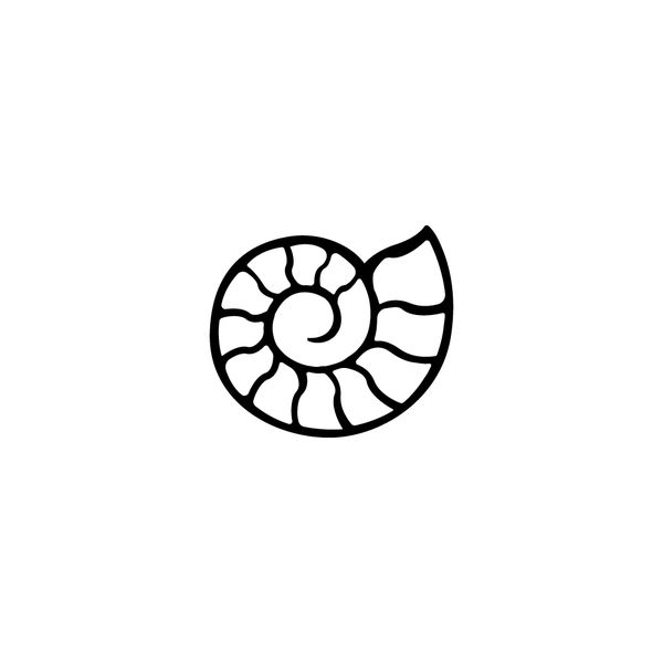  Ammonite logo