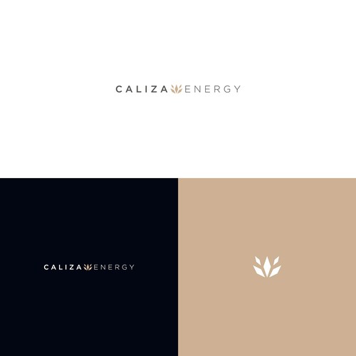 Energy startup Logo to impress investors and early employees Design by FreehubCo™