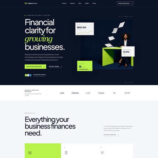 Nexora Finance  Homepage Design & Front-End Development