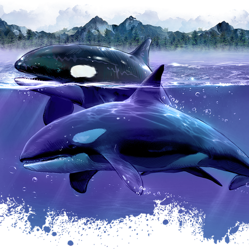 Orca - Also known as the Killer Whale デザイン by JACK - Fstudio