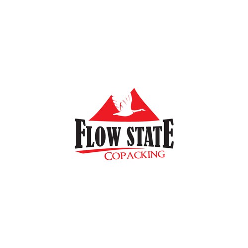 Flow State logo Design by Designhub03