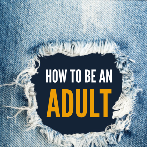 How to Be an Adult Design by Big Big Picture